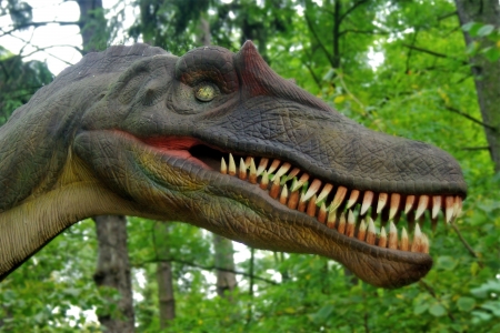 Dinosaur head in a forest - prehistoric era の写真素材