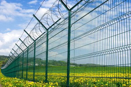 Barbed fence between flowers against the blue skyの写真素材
