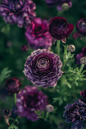 darkのeditorial素材