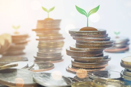 Coins are arranged in rows and stacked in a pile. There are young shoots of growing trees. This picture shows the growing finances, with beautiful bokeh and sunrise light.の写真素材