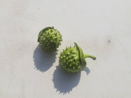 Kiwano or kiwano fruit on the white background.