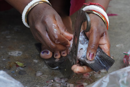 Hands of an Indian woman cleaning a fish with a special brush