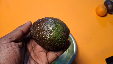 Avocado fruit in hand on orange background. Close-up.