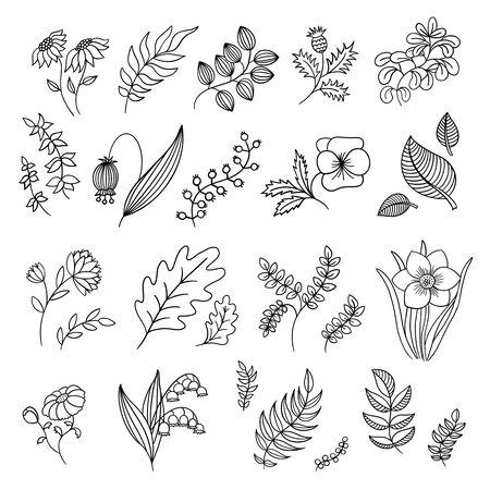 Outline set of doodle sketch flowers and leaves. Hand drawn line art floral collection isolated on white background.Coloring book page.の写真素材