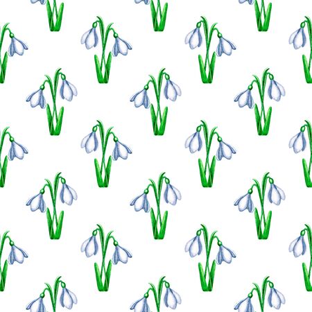 Seamless pattern with watercolor snowdrops with green leaves on white background. Hand drawn first spring flower. Beautiful print for design card, invitation, textile, wrapping paper, scrapbookingの写真素材