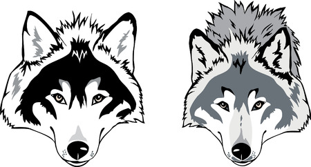 Wolf headのイラスト素材