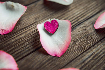 Close-up image of pinkrose petals on a wooden backgroundの写真素材