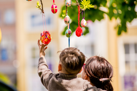 Several Easter colored eggs hanging on a tree branch color sunny spring day. Easterの写真素材