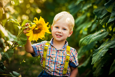 Happy blond boy in a shirt on sunflower field outdoors. Life style, summer time, real emotionsの写真素材