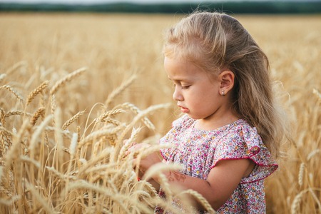 Cute little girl playing in the summer field of wheatの写真素材