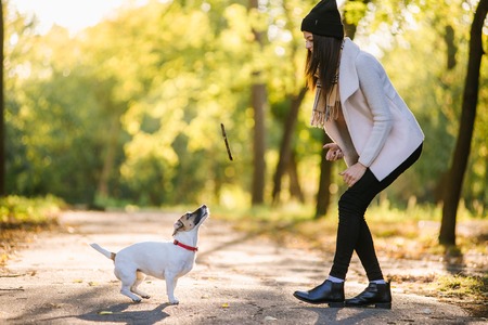 beautiful girl playing with a dog. Playing with the dog on the park. Close-up portrait. Jack Russell Terrierの写真素材