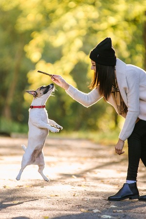 beautiful girl playing with a dog. Playing with the dog on the park. Close-up portrait. Jack Russell Terrierの写真素材