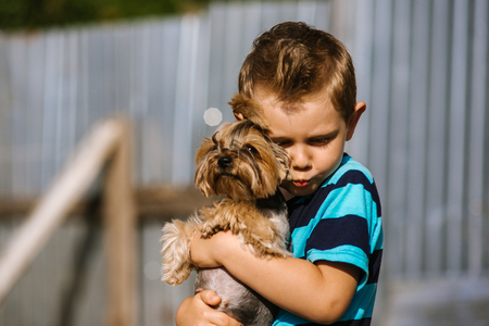 Portrait of a boy with Yorkshire Terrier dog on a walk. Kids pet friendshipの写真素材