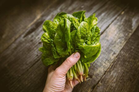 Fresh washed organic spinach on a cutting board. Detoxの写真素材
