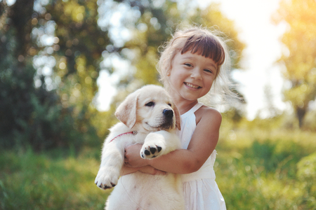 Little girl with a Golden retriever puppyの写真素材
