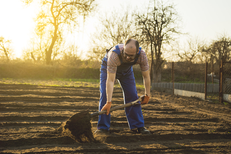 The gardener digs the garden with a shovel