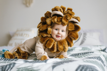 Handsome plump little child in a lion costume.の写真素材