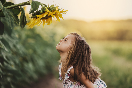 Child and sunflower, summer, nature and fun. Summer holiday.の写真素材