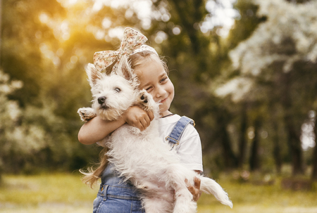 Adorable little girl holding a Westie puppyの写真素材