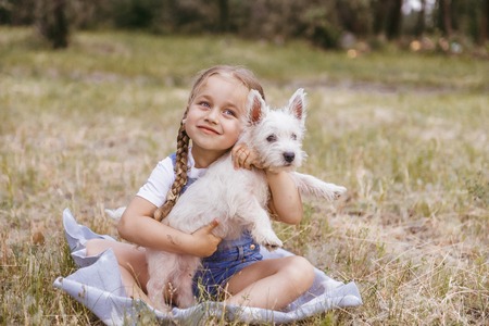 Adorable little girl holding a Westie puppyの写真素材