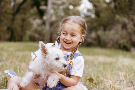Adorable little girl holding a Westie puppyの写真素材