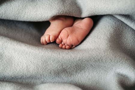 Bare feet of a cute newborn in a warm gray blanket. Childhood. Little bare feet of a little girl or boy. Sleeping newborn baby.の写真素材