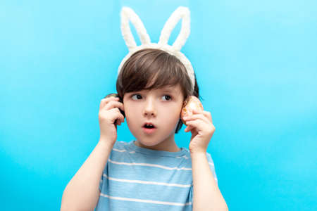 little boy with hare ears holds two painted eggs on a blue backgroundの写真素材