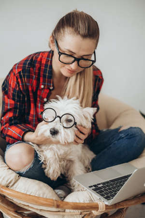Busy business woman in eyeglasses, shirt and denim pants sitting at cozy armchair and working laptop, holding cute fluffy doggy west highland white terrier with eyeglasses, distant work or studyingの写真素材