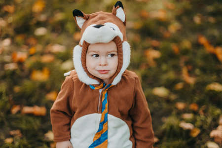 Cute baby boy dressed in fox costume in autumn parkの写真素材
