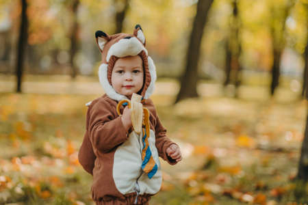 Cute baby boy dressed in fox costume in autumn park