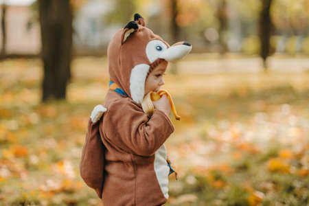 Cute baby boy dressed in fox costume in autumn parkの写真素材