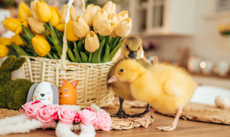 Easter chicks goslings on the table with spring flowers and eggs. Easter conceptの写真素材