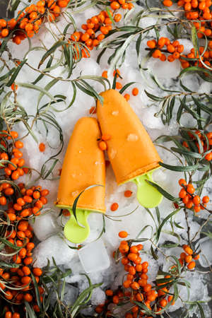 Sea buckthorn ice cream lies on ice crumbs among branches of fresh berries. Orange cold dessert.の写真素材