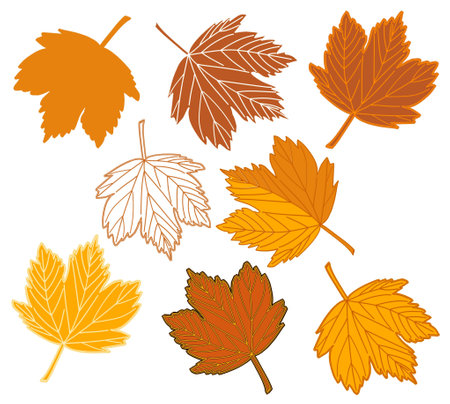 autumn leaves set. Vector illustration with transparent background. Design template, for stickers, creating patterns, wallpaper, wrapping paper.のイラスト素材