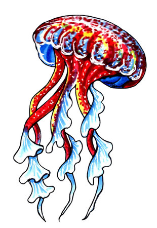 Red and blue jellyfish with wavy tentacles. JPEG illustration animal for stickers, creating patterns, wallpaper, 
wrapping paper, postcards, design template, fabric, clothing.の写真素材