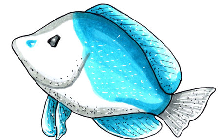Sea fish aqua color. JPEG illustration marine animals.の写真素材