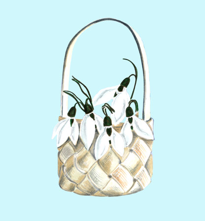 White snowdrops in a wicker basket. JPEG floral botanical illustration for stickers, creating patterns, wallpaper, wrapping paper,  
postcards, design template, fabric, clothing, cの写真素材