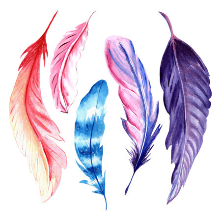 Set of colorful feathers of various designs Watercolor hand drawn illustration on white background for design, decorating invitations and cards, making stickers, embroidery scheme, print on textileの写真素材