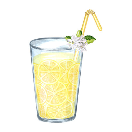 Lemonade with yellow lemons in glass. Hand drawn of drink with white flower Watercolor illustration for menu and packaging design, window dressing, printing tableware and textilesの写真素材