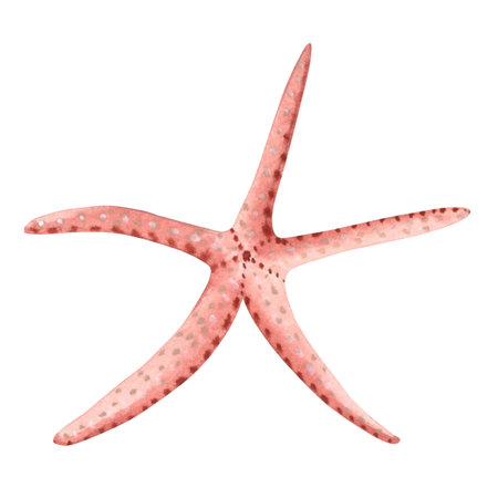 Starfish red Hand drawn watercolor illustration isolated of background. Underwater oceanic reef animals. Marine tropical theme. Exotic nautical design. Clipart for card, printの写真素材
