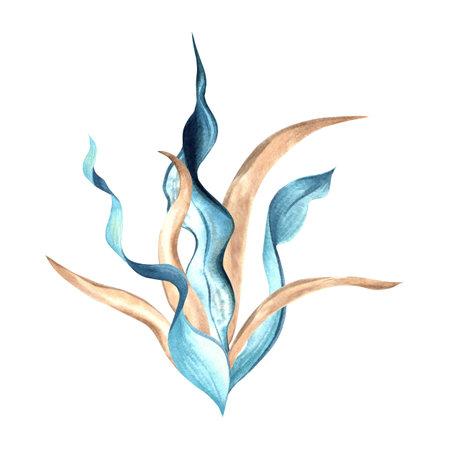 Underwater Seaweed. Hand drawn watercolor illustration isolated of background. Oceanic Algae, sea laminaria. Marine tropical flora theme. Clipart for cosmetic, print, foodの写真素材