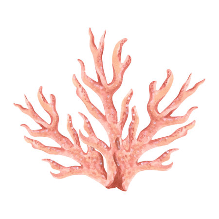 Underwater pink coral. Hand drawn watercolor illustration isolated of background. Oceanic reef animals, seaweed. Marine tropical theme. Exotic nautical design. Clipart for postcardの写真素材
