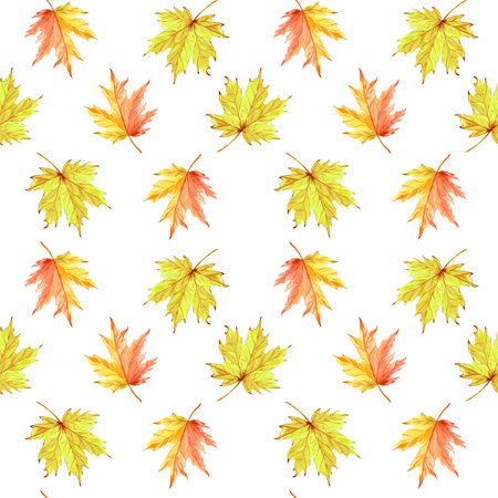Autumn maple leaves seamless pattern. Fall foliage botanical background for pattern fills. Hand drawn watercolor illustration. Thanksgiving background. Template for wallpaperの写真素材