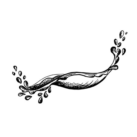Liquid splash sketch. Vector graphic illustration hand drawn isolated. Black and white drawing of water wave. Dinamic droplets juicy drinks,fluid or oil. Clipart for menu, cardのイラスト素材