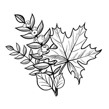 Autumn leaves bouquet sketch. Vector illustration hand drawn isolated. Fall foliage arrangement. Black and white monochrome composition. Forest nature concept. Clipart for postcardのイラスト素材