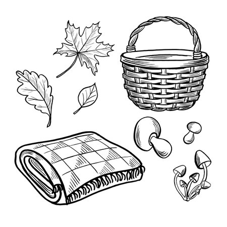 Wicker basket with blanket, mushrums and leaves. Set autumn sketches. Vector line illustrations, hand drawn isolated. Black and white doodle of forest plant, nature conceptのイラスト素材