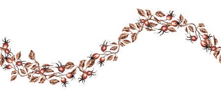 Rosehip branches with red berries and brown leaves. Wavy seamless border. Autumnal Dog rose horizontal banner. Hand drawn watercolor illustration isolated. Template for wallpaperの写真素材