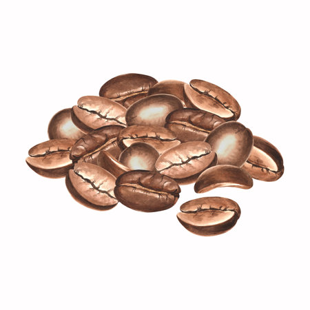 Roasted coffee beans in pile. Watercolor hand drawn illustration isolated. Grains or seeds Arabica and Robusta sort. Ingredients for aromatic invigorating drink. Clipart forの写真素材
