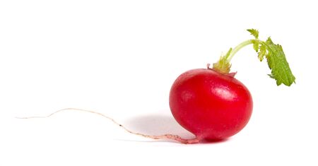 red redish isolated on white backgroundの写真素材