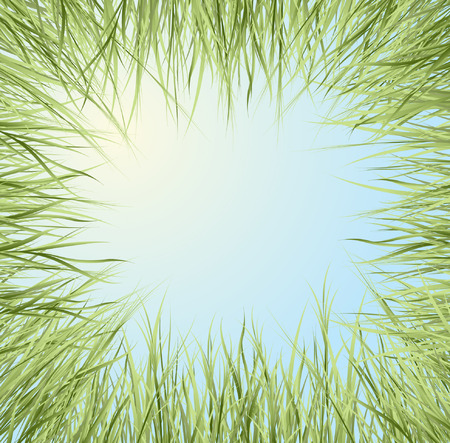 green grass のイラスト素材